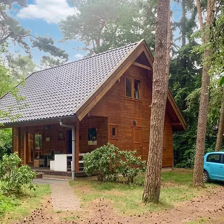 Boshuisje Veluwe Goudplevier Emst