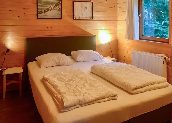 Boshuisje Veluwe Goudplevier Emst