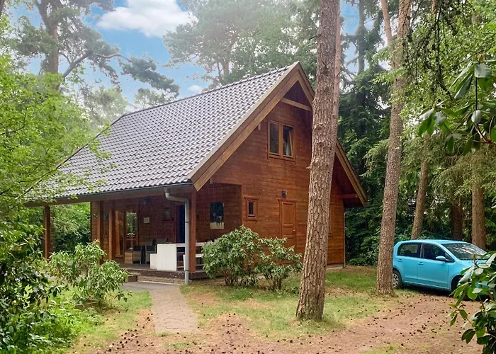 Boshuisje Veluwe Goudplevier 埃姆斯特